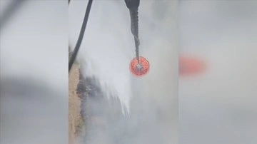 Manisa'da çıkan orman yangınına müdahale ediliyor