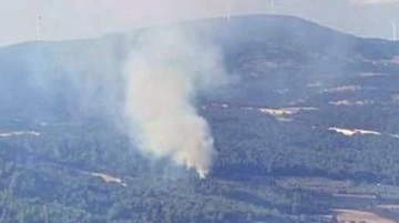 Manisa'da orman yangını kontrol altına alındı