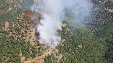 Manisa'nın Alaşehir ilçesinde orman yangını çıktı