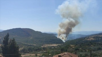 Manisa'nın Soma ilçesinde orman yangını çıktı