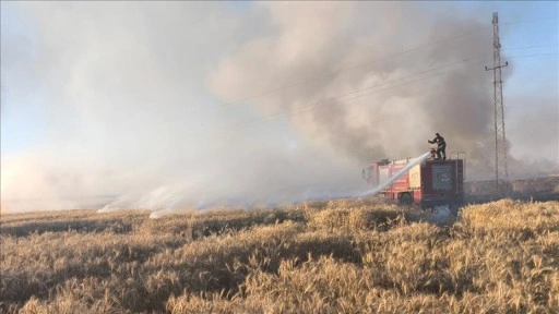 Mardin'de çıkan yangınlarda 155 dönüm buğday ekili alan zarar gördü
