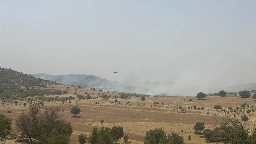 Mardin'de ormanlık alanda çıkan yangına müdahale ediliyor