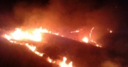 Mardin'de son iki günde 140 yangına müdahale edildi