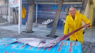 Marmara Denizi'nde 3 metre uzunluğunda kılıç balığı yakalandı