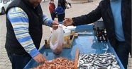 Marmara Denizi'nde karides avı yasaklandı