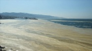 Marmara Denizi&#39;nin birçok noktasına yayılan &#39;deniz salyası&#39; Mudanya sahilini de kapladı