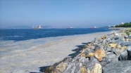Marmara Denizi&#039;nin müsilajdan kurtarılması için &#039;acil eylem planı&#039;nın uygulanması önerisi