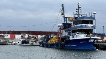 Marmara'da umduğunu bulamayan Tekirdağlı balıkçılar Karadeniz'e ağ atıyor