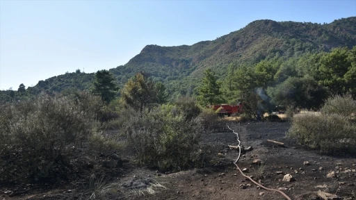 Marmaris'te çıkan orman yangını kontrol altına alındı