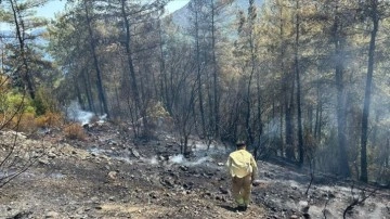 Marmaris'te çıkan orman yangını kontrol altına alındı