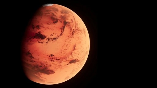 Mars'tan gelen ve dünyaya düşen en büyük gök taşı New York'ta 5,3 milyon dolara satıldı