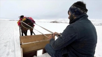Martta yağan kar ve soğuk hava Çıldır'da atlı kızak sezonunu uzattı