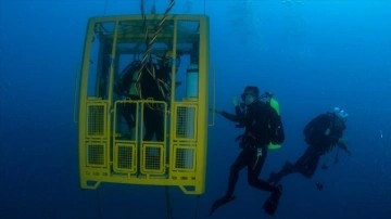 'Mavi Vatan'ın kahramanları 'denizaltı kurtarma operasyonları'nda sınır tanımıyo