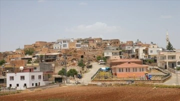 Mehmet Şimşek'in Hazine ve Maliye Bakanlığına getirilmesi doğduğu köyde sevinçle karşılandı