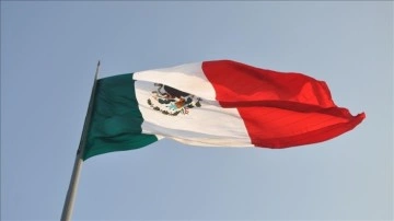 Meksika'da Senato tartışmalı seçim reformunu onayladı