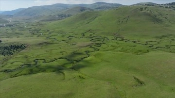 Menderesleriyle ünlü Perşembe Yaylası sıcaktan bunalanlara alternatif tatil rotası oldu