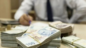 Merkezi yönetim brüt borç stoku 6 trilyon 69,6 milyar lira oldu