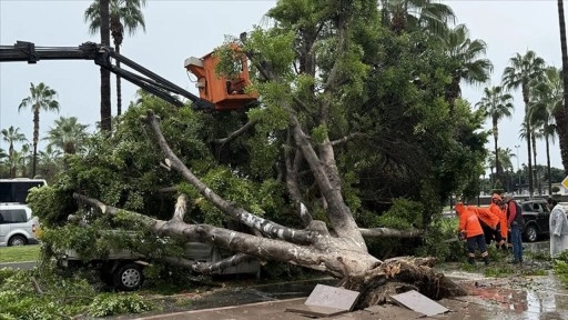 Mersin'de rüzgarın etkisiyle devrilen ağaç seyir halindeki 3 araca zarar verdi