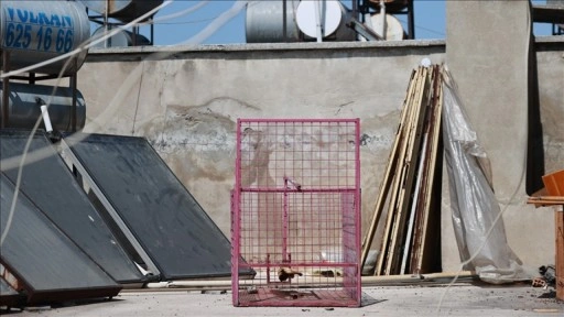 Mersin'de saklandığı sitedeki evlere giren maymunun yakalanması için kafes kuruldu