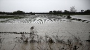 Mersin ve Antalya'da sağanak nedeniyle tarım arazileri sular altında kaldı