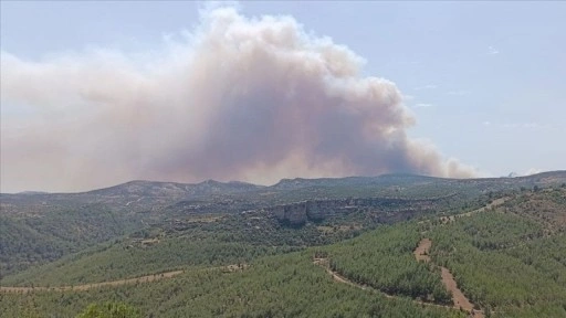 Mersin ve Çanakkale'de çıkan orman yangınlarına müdahale ediliyor