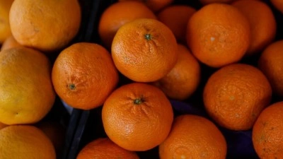 Mersin, yılın ilk &ccedil;eyreğinde turun&ccedil;gil ihracatında zirvede yer aldı