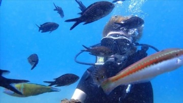 Mersin'de lesepsiyen balık türlerinin incelenmesi için keşif dalışı yapıldı