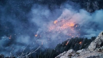 Mersin'deki orman yangınına müdahale sürüyor