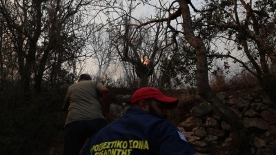 Midilli Adası'nda makilik alanda yangın &ccedil;ıktı
