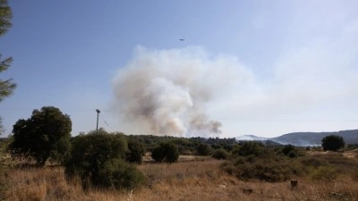 Midilli Adası'nda ormanlık alanda yangın &ccedil;ıktı