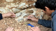 Milyon yıllık fosiller Kapadokya'da sergilenecek