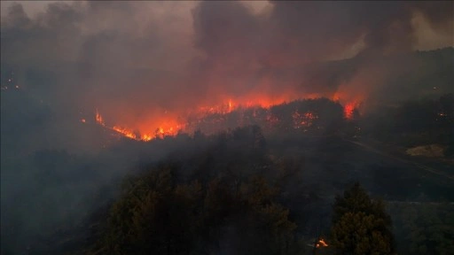 Minibüste başlayıp ormanlık alana sıçrayan yangınla ilgili 4 sanığa hapis istemi