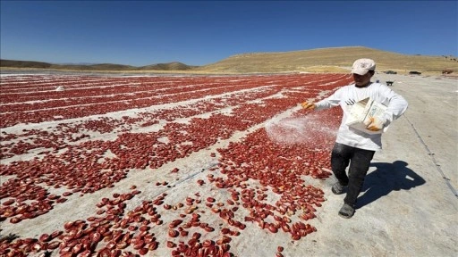 Misafirliğe geldikleri Elazığ'da 4 yılda 6 bin dönüm atıl araziyi tarıma kazandırdılar