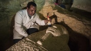 Mısır'da 3 bin yıllık 8 firavun mezarı bulundu
