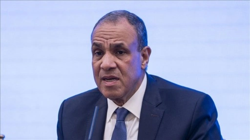 Mısır Dışişleri Bakanı: Mısır-Türkiye ortaklığı bölgedeki krizlerin çözümüne olumlu katkı sağlıyor