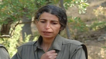 MİT, PKK/YPG'nin para trafiğini yöneten Zülfiye Binbir'i etkisiz hale getirdi