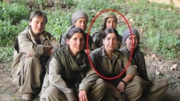 MİT'ten PKK'nın sözde kadın yapılanmasına yönelik operasyon