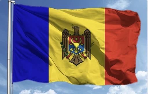 Moldova Cumhurbaşkanı seçimlerin ardından Ukrayna'ya 700 gönüllü göndermeyi planlıyor