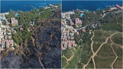 Muğla'da 2021'in k&uuml;llerinden doğan ormanlar yeşil &ouml;rt&uuml;s&uuml;ne kavuştu