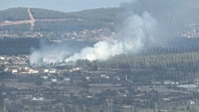 Muğla'da &ccedil;ıkan orman yangını kontrol altına alındı