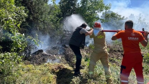 Muğla'da çıkan orman yangını söndürüldü