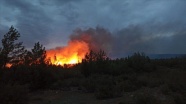 Muğla'nın Menteşe ve Kavaklıdere ilçelerinde çıkan orman yangınları söndürüldü