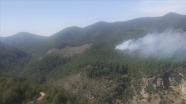 Muğla'nın Ortaca ilçesinde orman yangını başladı