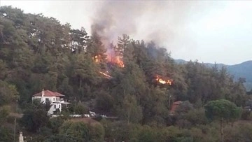 Muğla Ula'da çıkan orman yangını söndürüldü