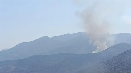 Muğla ve Adana'daki orman yangınlarına müdahale ediliyor