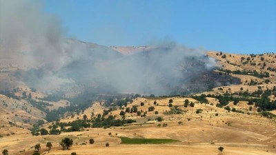 Muğla ve Diyarbakır'da &ccedil;ıkan orman yangınlarına m&uuml;dahale ediliyor