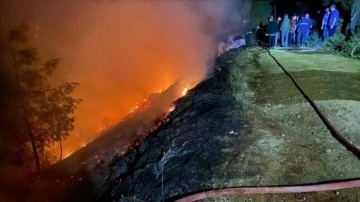 Muğla'da çıkan yangında yarım hektar ormanlık alan zarar gördü