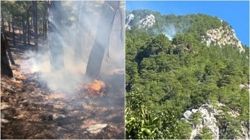 Muğla'nın Köyceğiz ilçesinde çıkan orman yangını kontrol altına alındı
