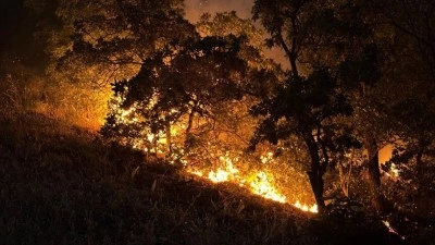 Munzur Vadisi Milli Parkı'ndaki orman yangınına m&uuml;dahale ediliyor