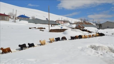 Muş'ta metrelerce karın bulunduğu k&ouml;ylerde yaşayanlar baharı bekliyor
